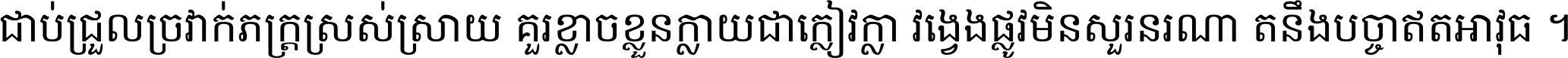 ជាប់​ជ្រួល​ច្រវាក់​ភក្ត្រ​ស្រស់ស្រាយ គួរ​ខ្លាច​ខ្លួន​ក្លាយ​ជា​ក្លៀវក្លា វង្វេង​ផ្លូវ​មិន​សួរន​រណា តនឹងបច្ចា​ឥត​អាវុធ ។