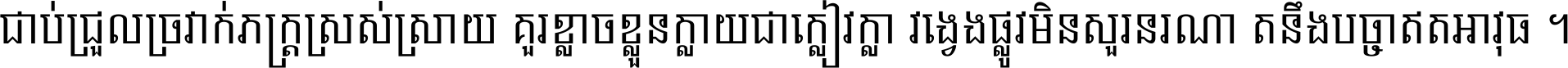 ជាប់​ជ្រួល​ច្រវាក់​ភក្ត្រ​ស្រស់ស្រាយ គួរ​ខ្លាច​ខ្លួន​ក្លាយ​ជា​ក្លៀវក្លា វង្វេង​ផ្លូវ​មិន​សួរន​រណា តនឹងបច្ចា​ឥត​អាវុធ ។