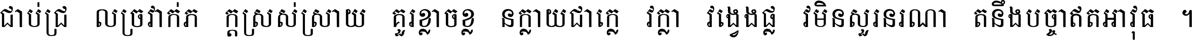 ជាប់​ជ្រួល​ច្រវាក់​ភក្ត្រ​ស្រស់ស្រាយ គួរ​ខ្លាច​ខ្លួន​ក្លាយ​ជា​ក្លៀវក្លា វង្វេង​ផ្លូវ​មិន​សួរន​រណា តនឹងបច្ចា​ឥត​អាវុធ ។