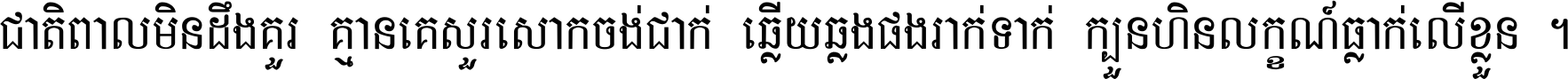 ជាតិ​ពាល​មិន​ដឹង​គួរ គ្មាន​គេ​សួរ​សោក​ចង់​ជាក់ ឆ្លើយ​ឆ្លង​ផង​រាក់​ទាក់​ ក្បួន​ហិន​លក្ខណ៍​ធ្លាក់​លើ​ខ្លួន ។